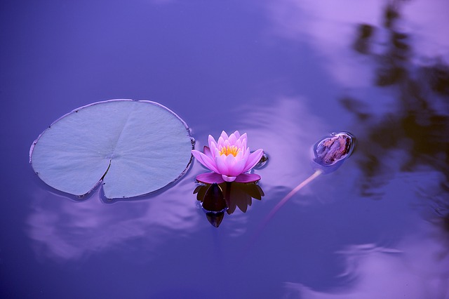 balance