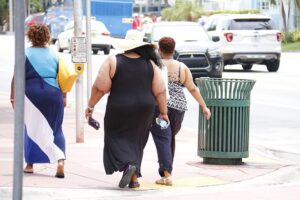 fat